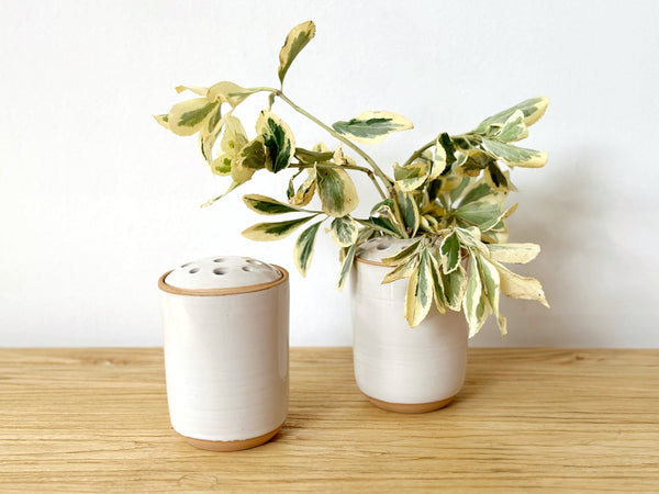 Ceramic Frog Vase