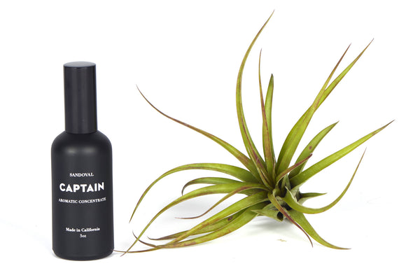 Captain Aromatic Concentrate
