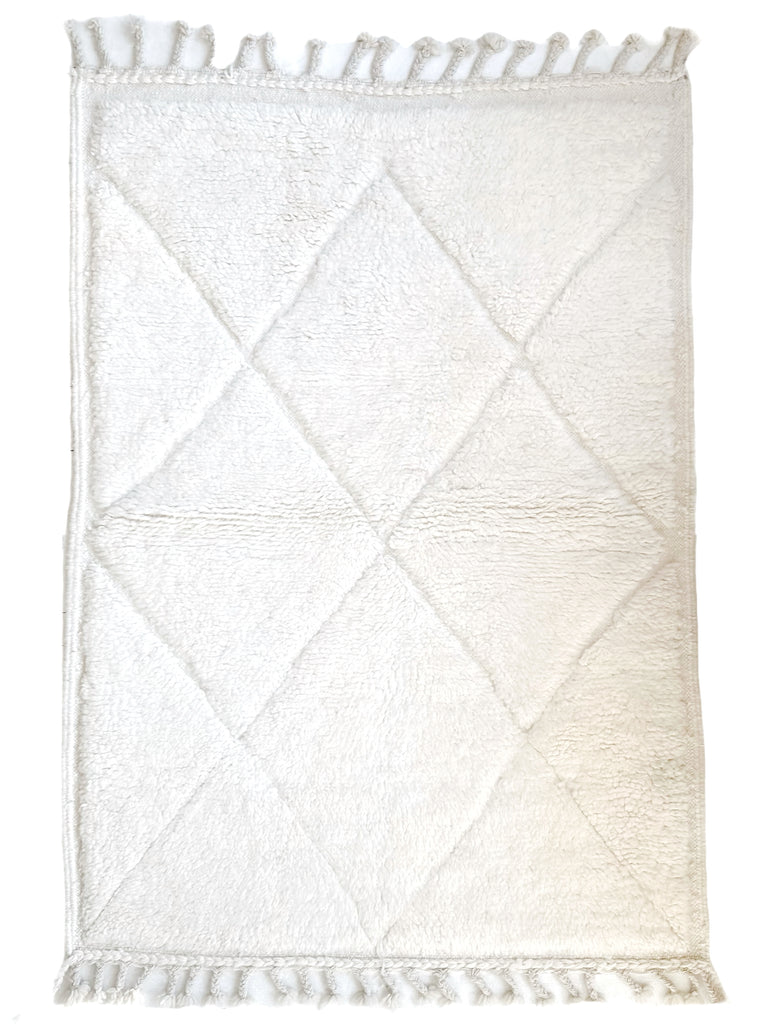Handknotted Wool Rug - 3'8"W x 5'3"L