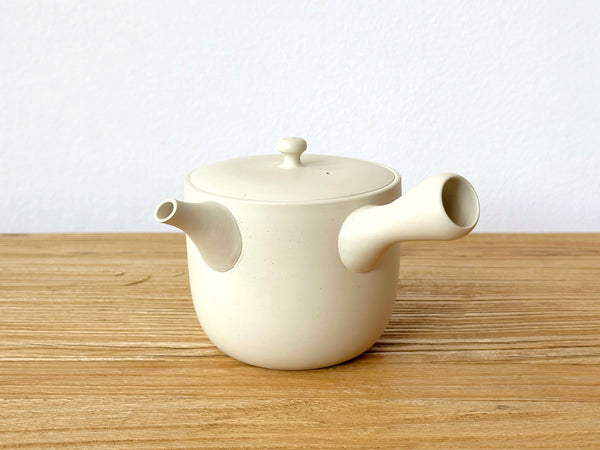 Tokoname Clay Teapot
