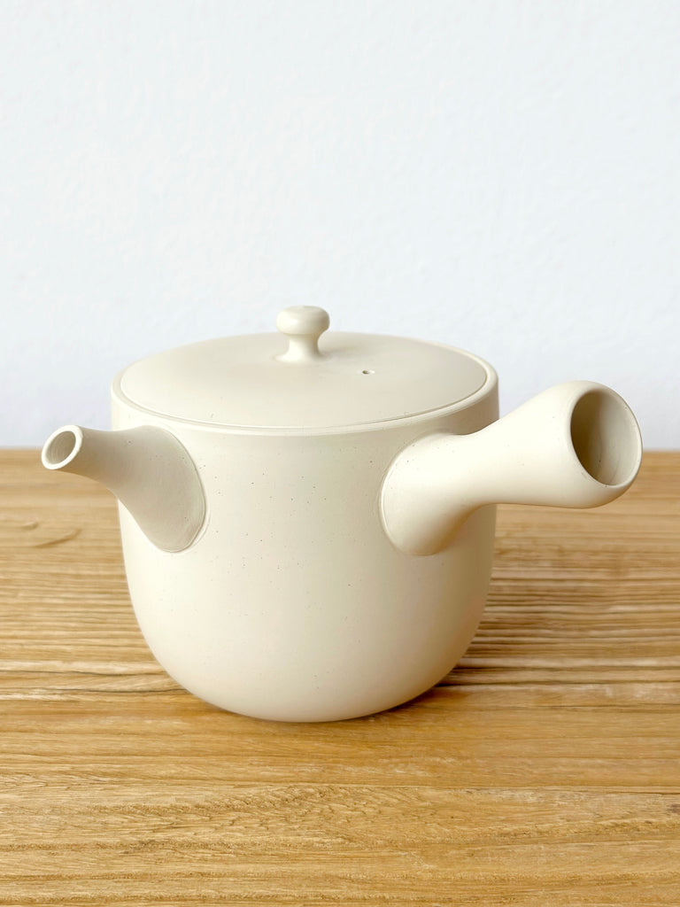Tokoname Clay Teapot