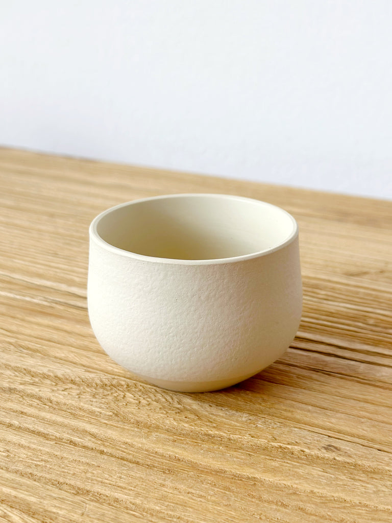 Tokoname Clay Teacup