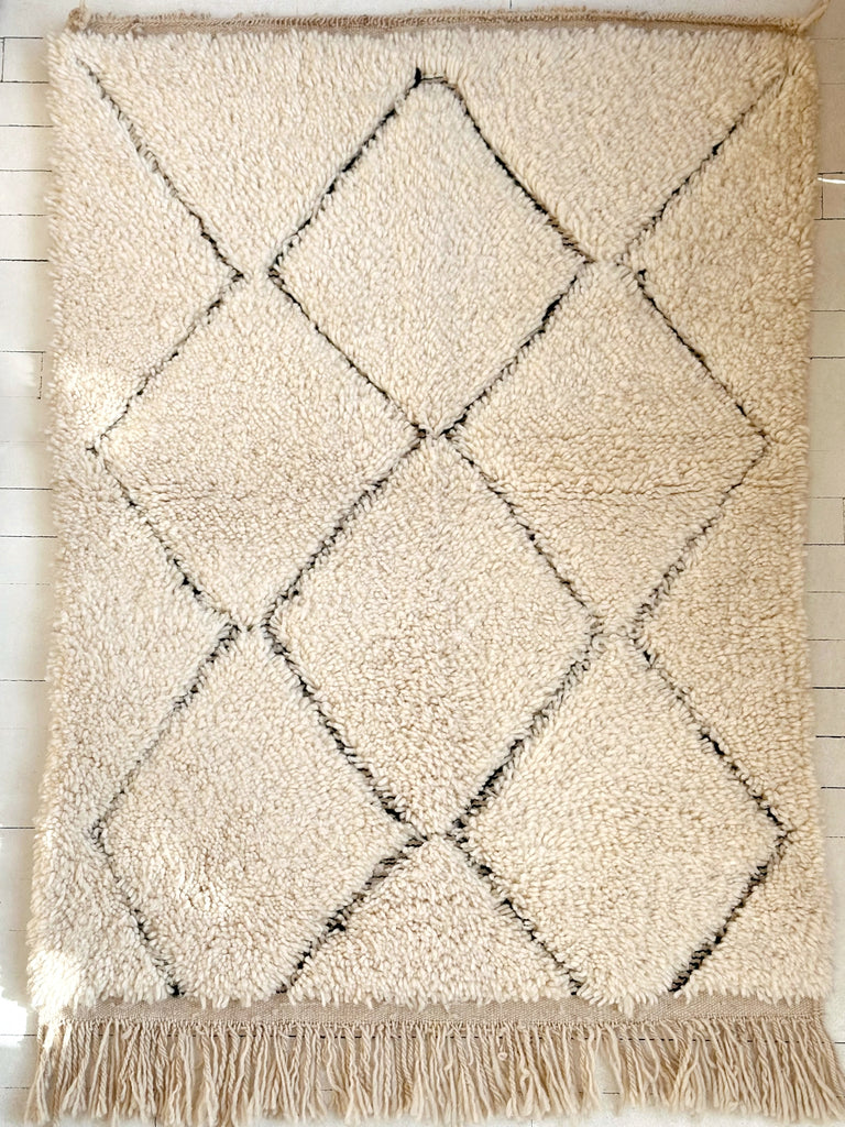 Handknotted Wool Rug - 3'W x 4'L