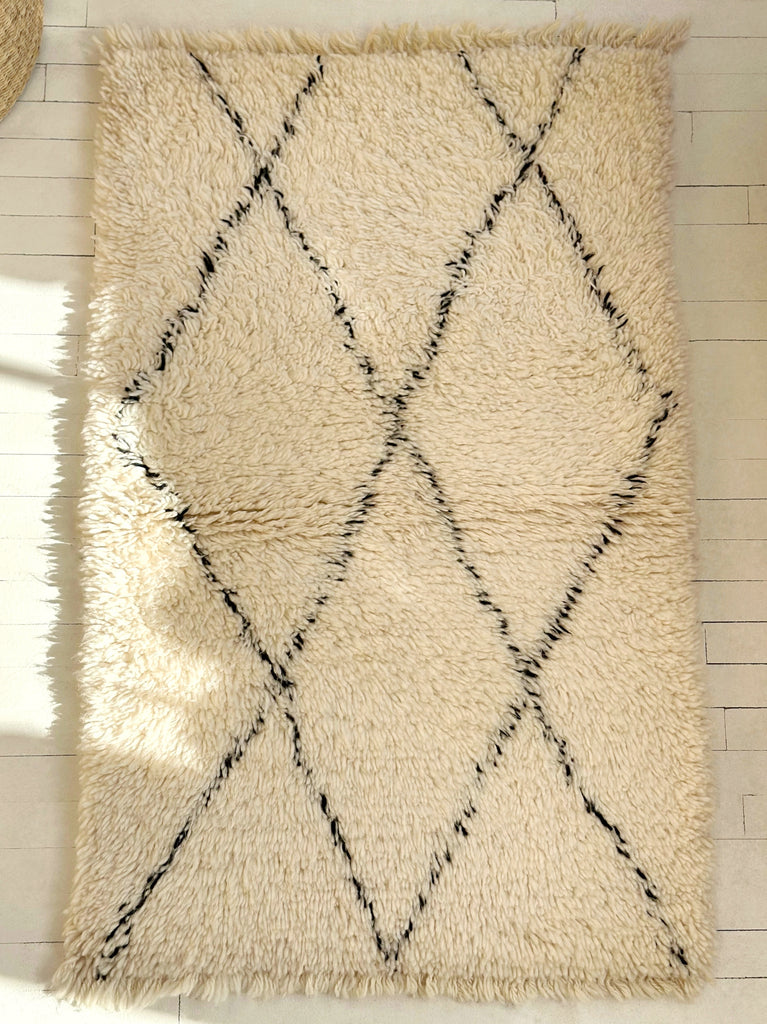 Handknotted Wool Rug - 2'8"W x 4'6"L