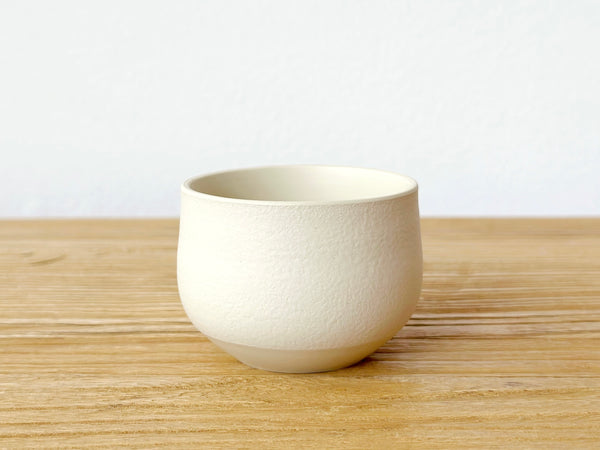 Tokoname Clay Teacup