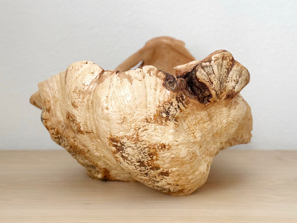 Maple Trough