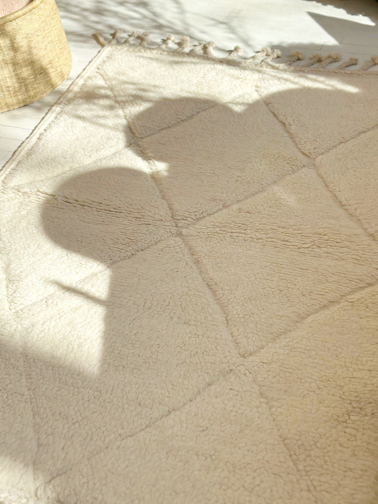 Handknotted Wool Rug - 3'8"W x 5'3"L