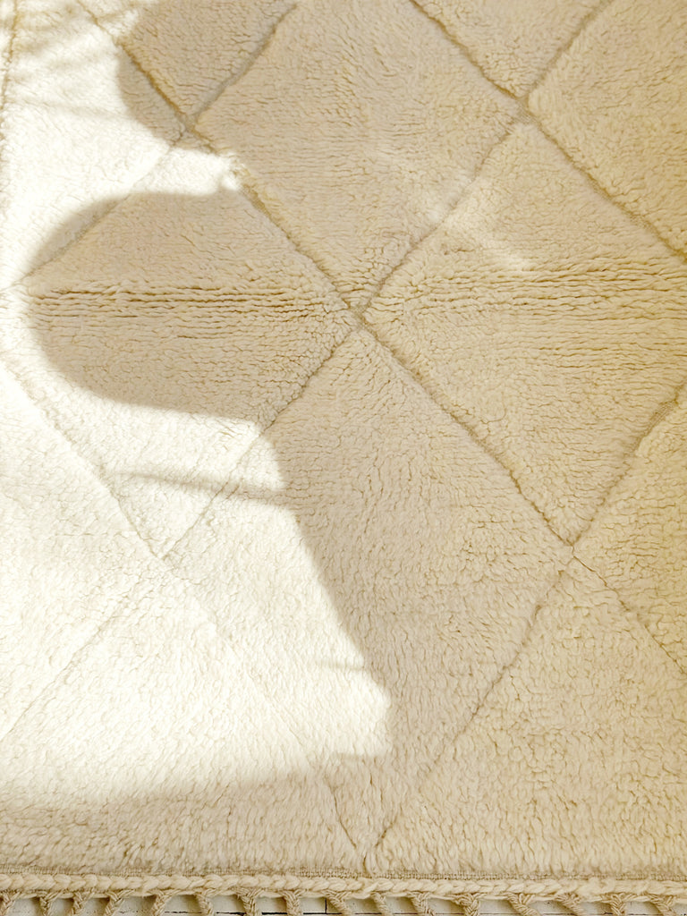 Handknotted Wool Rug - 3'8"W x 5'3"L