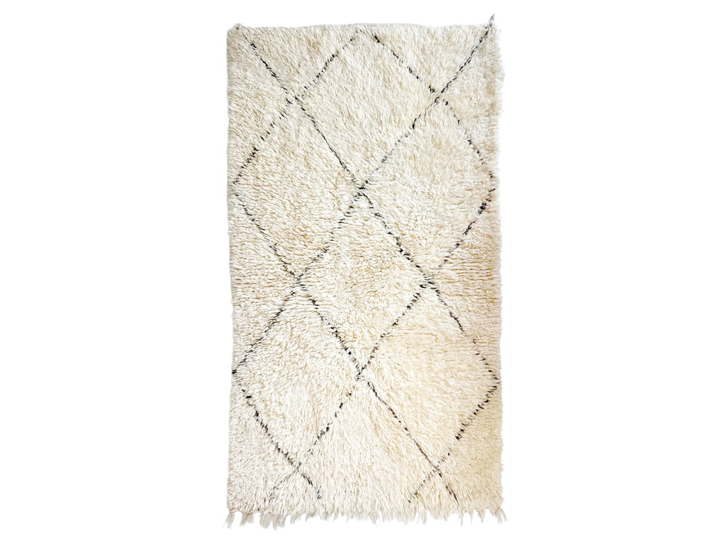 Handknotted Wool Rug - 3'3"W x 6'L