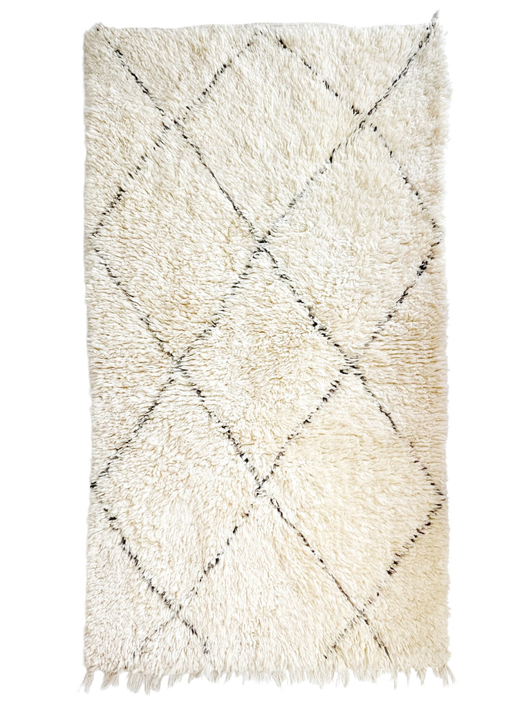 Handknotted Wool Rug - 3'3"W x 6'L