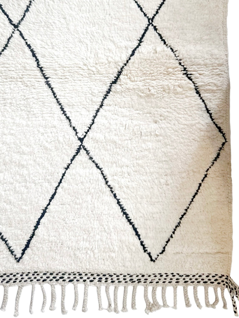 Handknotted Wool Rug - 3'10"W x 5'3"L