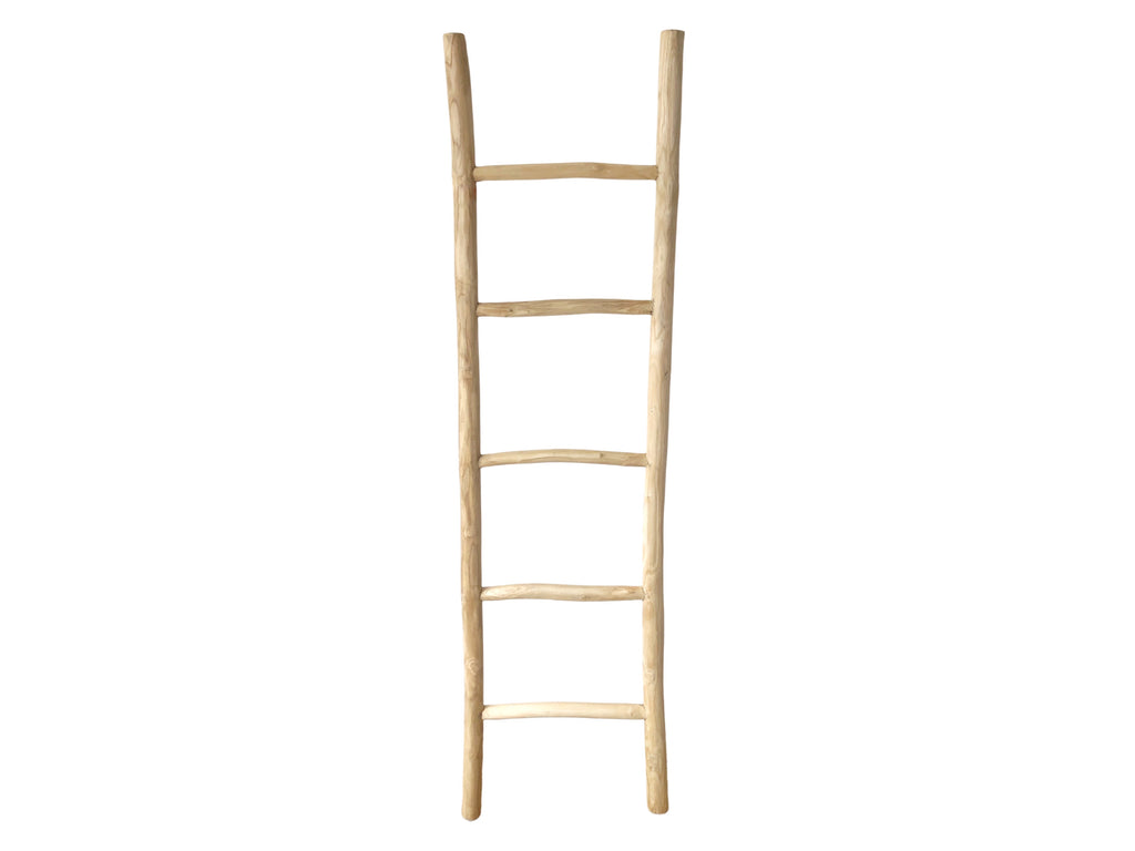 Teak Ladder