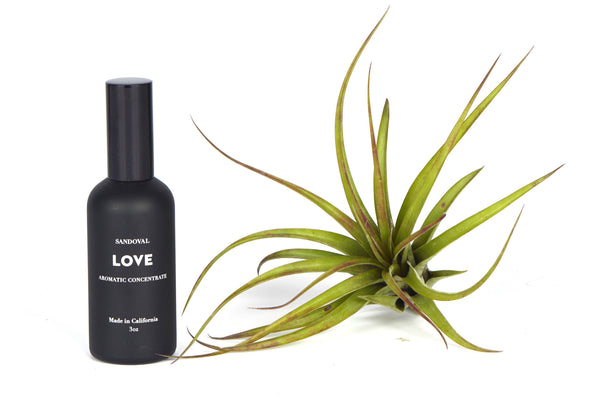 Love Aromatic Concentrate