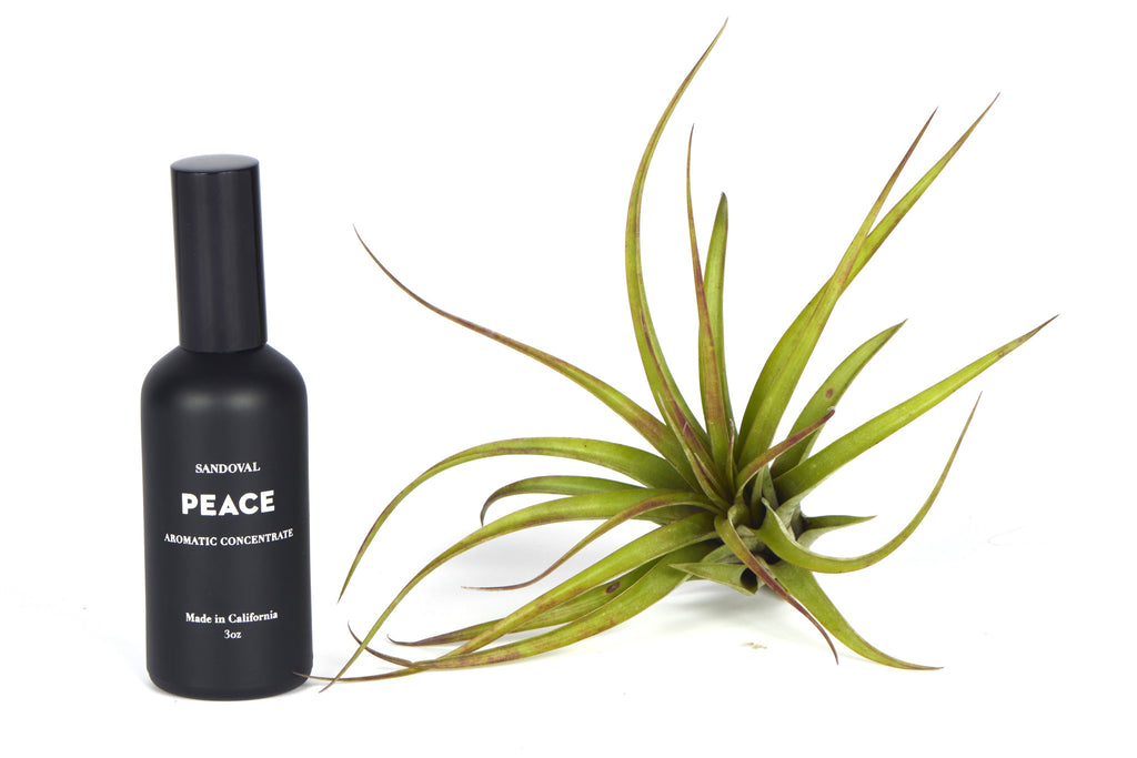 Peace Aromatic Concentrate