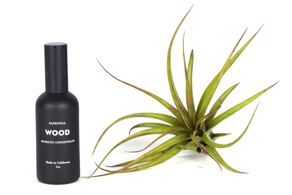 Wood Aromatic Concentrate