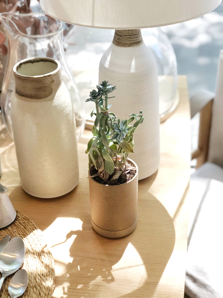 Porcelain Planter