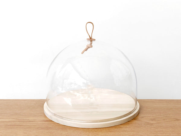 Handblown Glass Dome